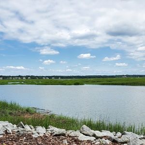 Meet your Posher, Joy